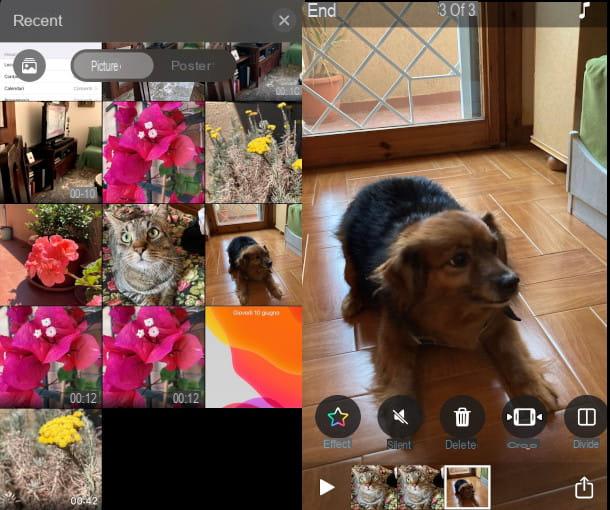 How to make videos with iPhone photos