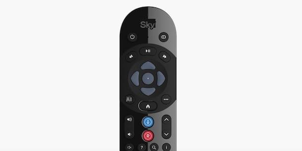 Como configurar o controle remoto Sky Q