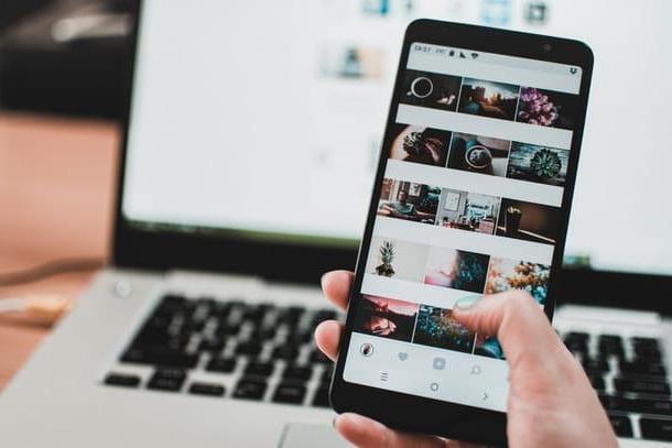 Cómo crear un feed de Instagram