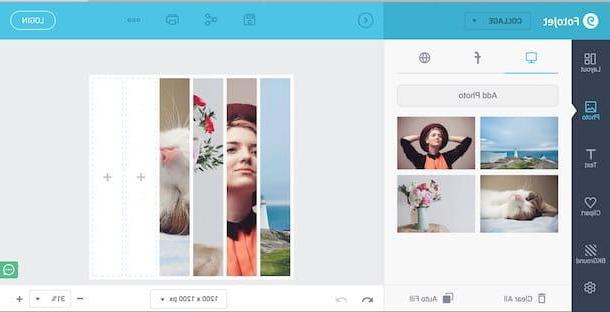 Como fazer colagens de fotos online